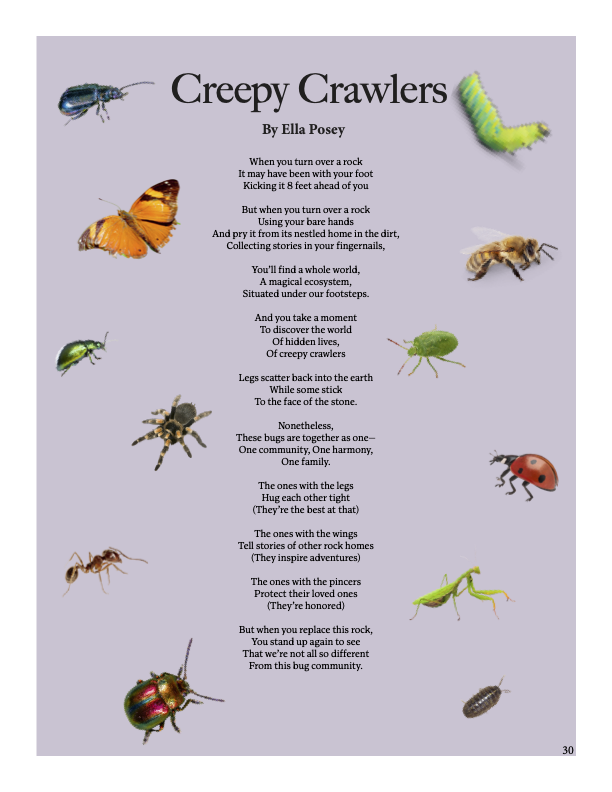 Creepy Crawlers