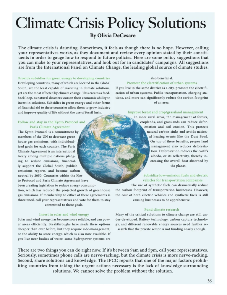 Climate Crisis Policy Solutions